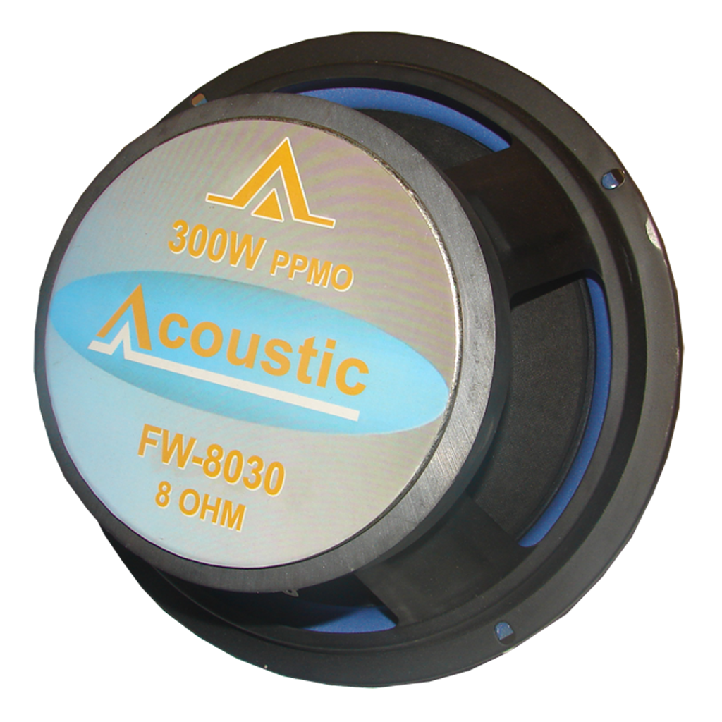 PARL. 8¨ 300W 30ONZ ACOUSTIC