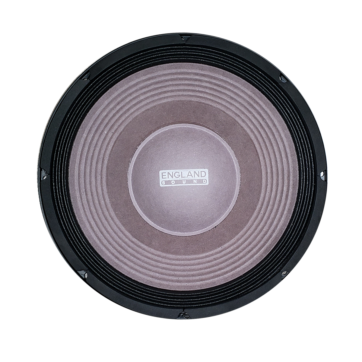 PARLANTE, 12 PULG., 1000 WATTS, 8 OHM, 100DB