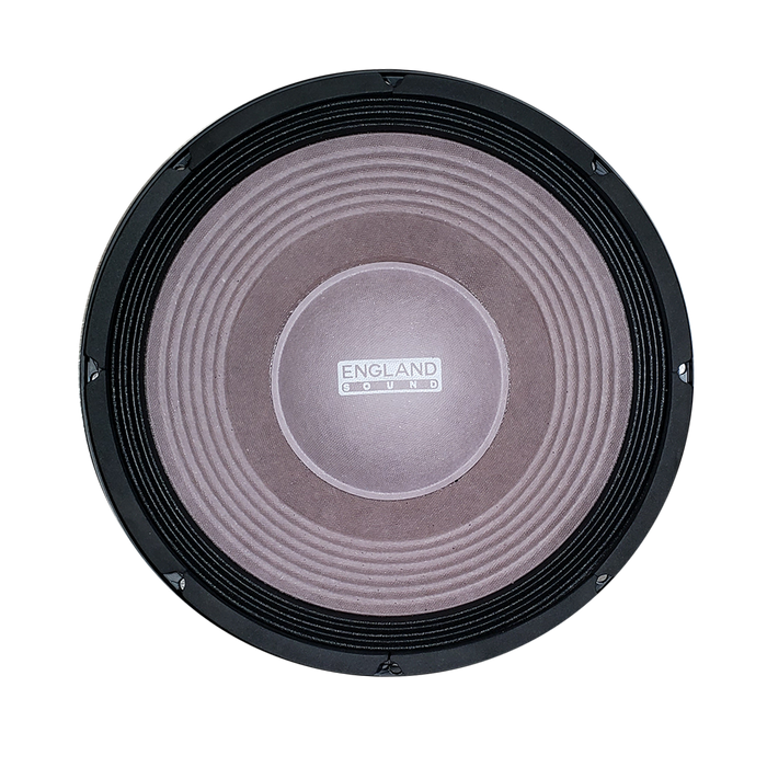 PARLANTE, 12 PULG., 1000 WATTS, 8 OHM, 100DB