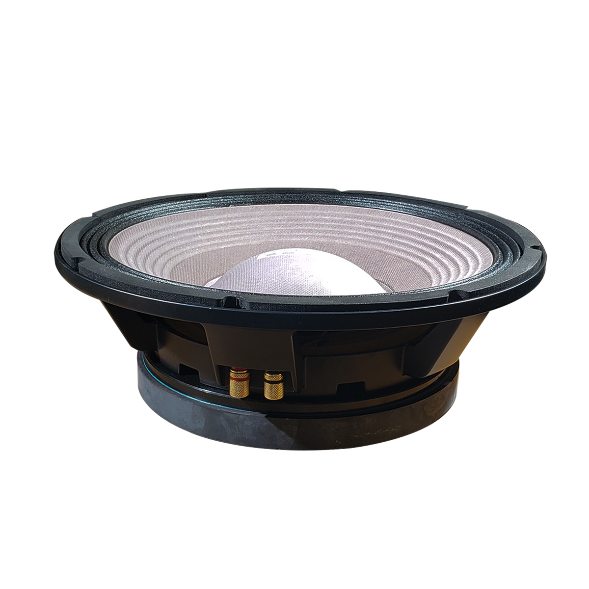 PARLANTE, 12 PULG., 1000 WATTS, 8 OHM, 100DB