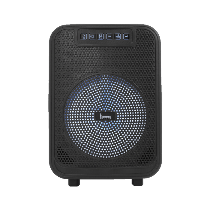 CAJA AMPLIFICADA CON BATERIA 6.5 PULG., 10.000W PMOP, REPRODUCTOR ANALOGICO DIGITAL, ENTRADA MIC 1/4, 3.5MM , EFECTO ECO, LUZ LED RGB, INCLUYE UN MICROFONO