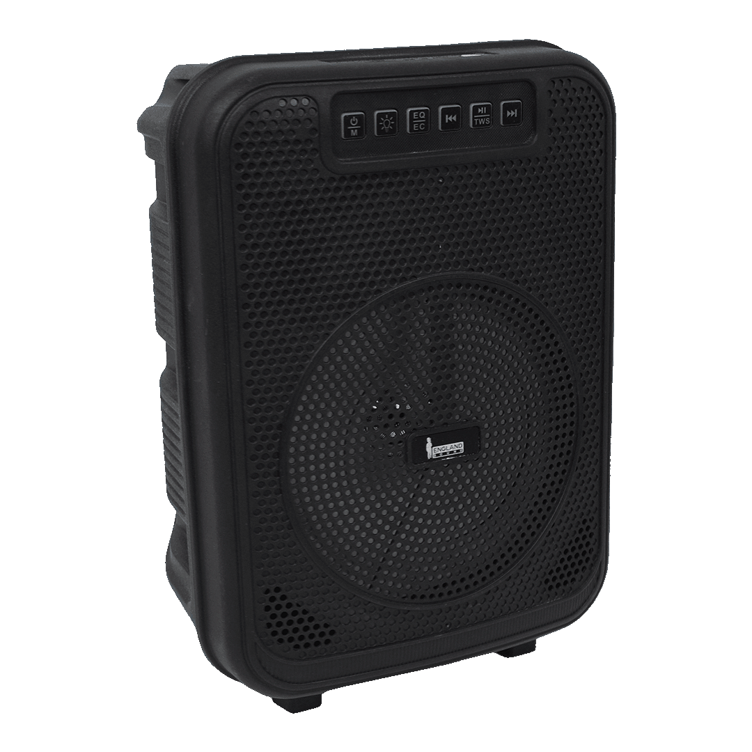 CAJA AMPLIFICADA CON BATERIA 6.5 PULG., 10.000W PMOP, REPRODUCTOR ANALOGICO DIGITAL, ENTRADA MIC 1/4, 3.5MM , EFECTO ECO, LUZ LED RGB, INCLUYE UN MICROFONO