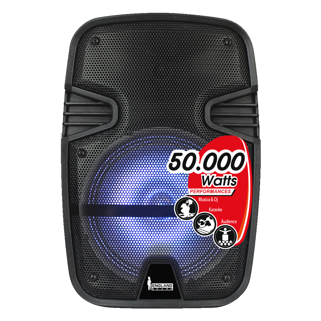 CAJA AMPLIFICADA CON BATERIA 8 PULG., 20.000W PMOP, BT, USB, MICRO SD, INCLUYE UN MICROFONO DE MANO