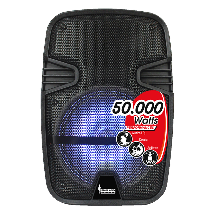 CAJA AMPLIFICADA CON BATERIA 8 PULG., 20.000W PMOP, BT, USB, MICRO SD, INCLUYE UN MICROFONO DE MANO
