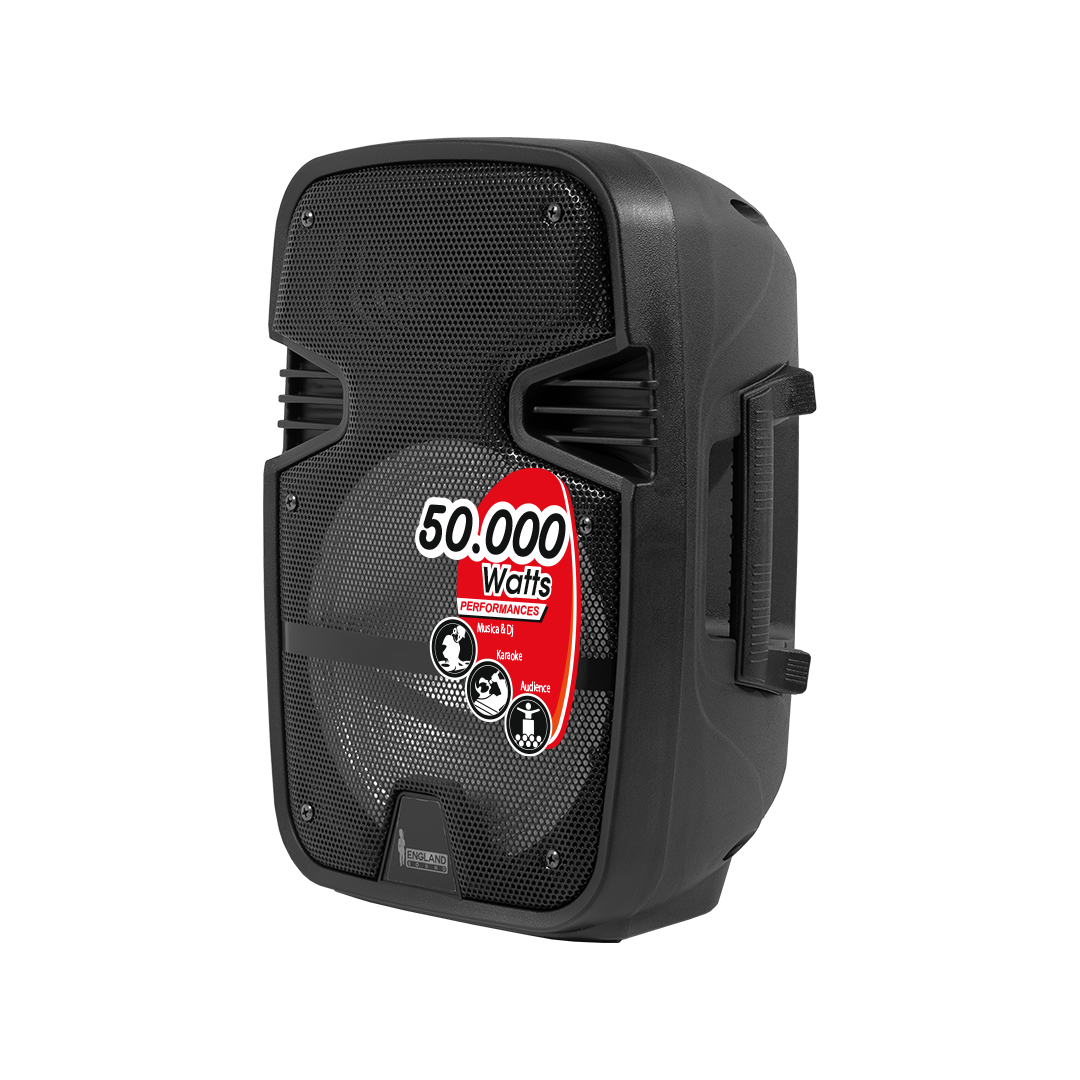 CAJA AMPLIFICADA CON BATERIA 8 PULG., 20.000W PMOP, BT, USB, MICRO SD, INCLUYE UN MICROFONO DE MANO