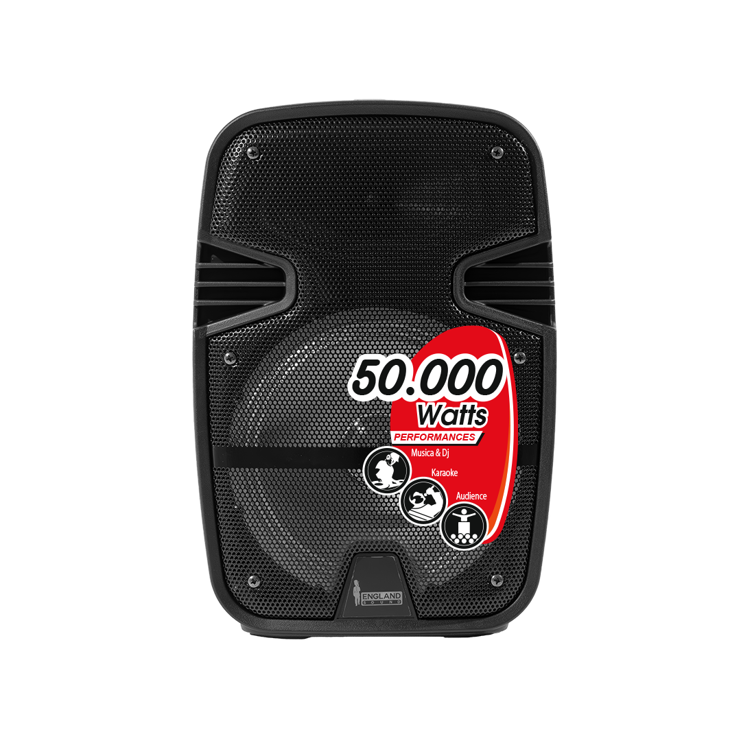CAJA AMPLIFICADA CON BATERIA 8 PULG., 20.000W PMOP, BT, USB, MICRO SD, INCLUYE UN MICROFONO DE MANO