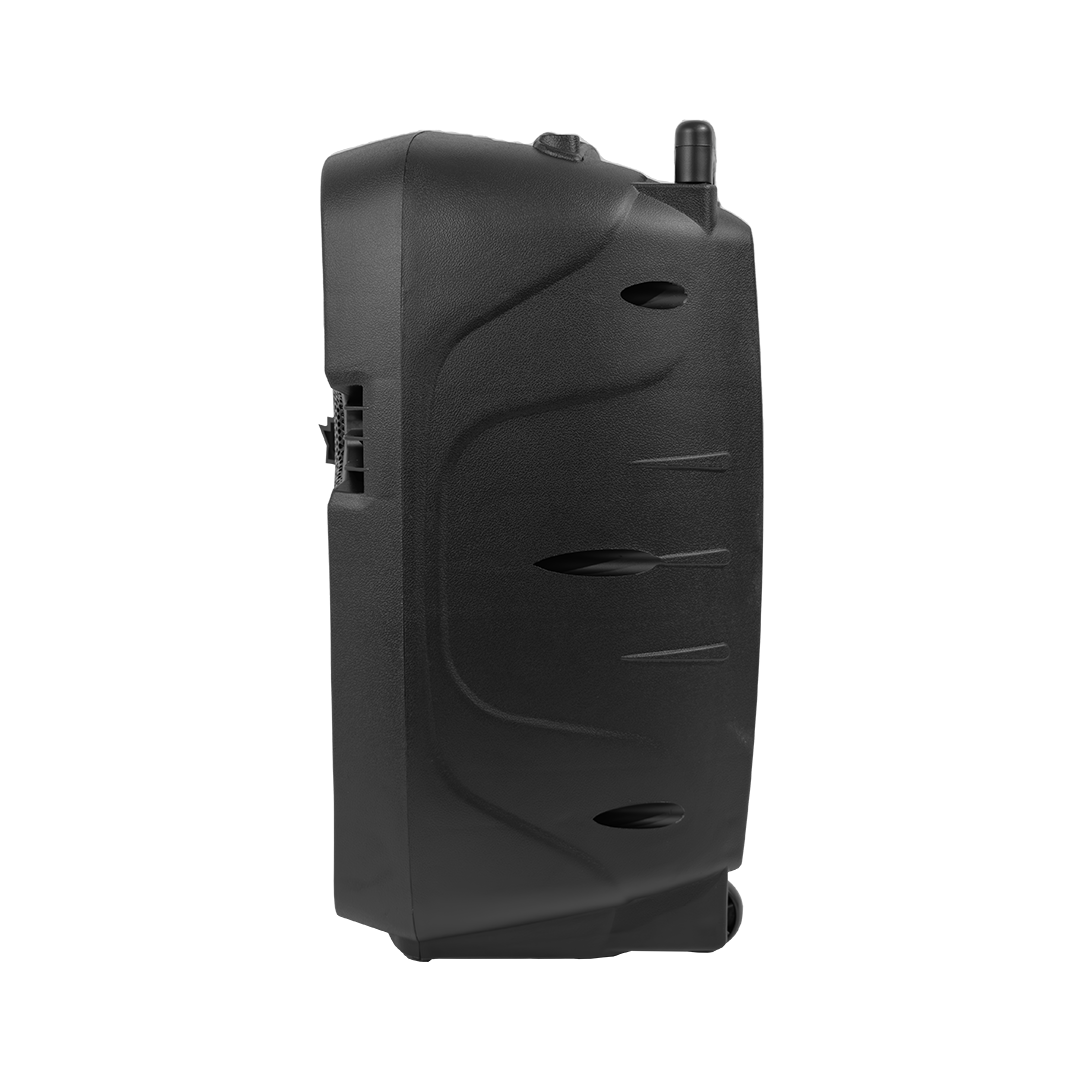 CAJA AMPLIFICADA CON BATERIA 10 PULG., 100.000W PMOP, ENTRAJA JACK 1/4, 3.5MM, EFECTO ECO, BASS TREBLE, LUZ LED RGB, INCLUYE UN MICROFONO VHF