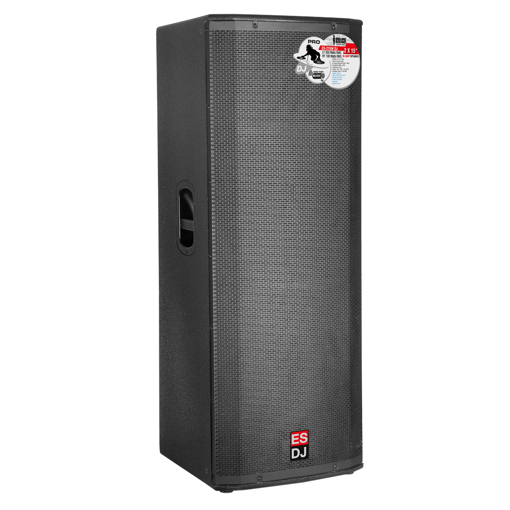 CAJA BI-AMPLIFICADA 2X15 PULG., 1200W RMS LF/300W RMS HF, BT, USB, SD