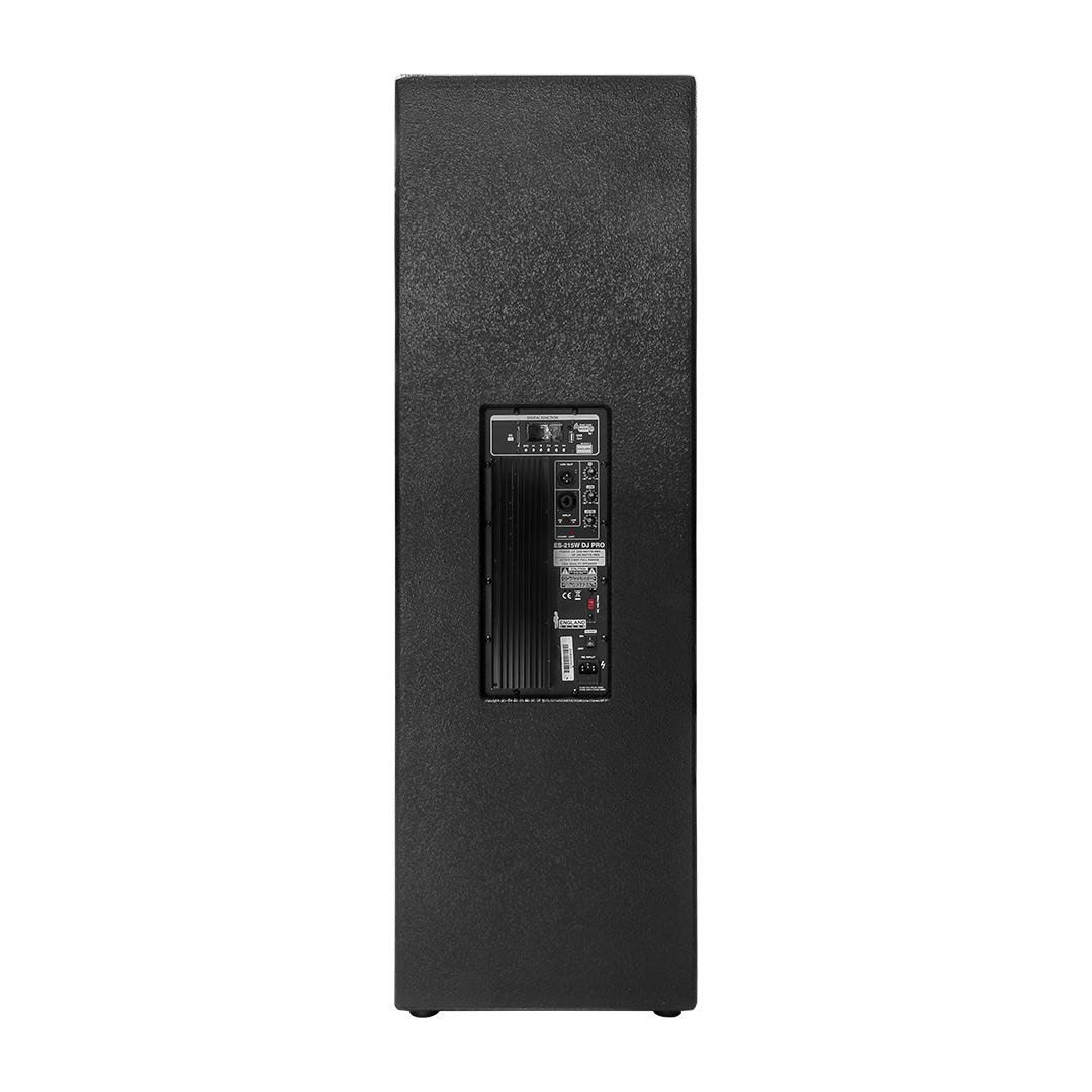 CAJA BI-AMPLIFICADA 2X15 PULG., 1200W RMS LF/300W RMS HF, BT, USB, SD