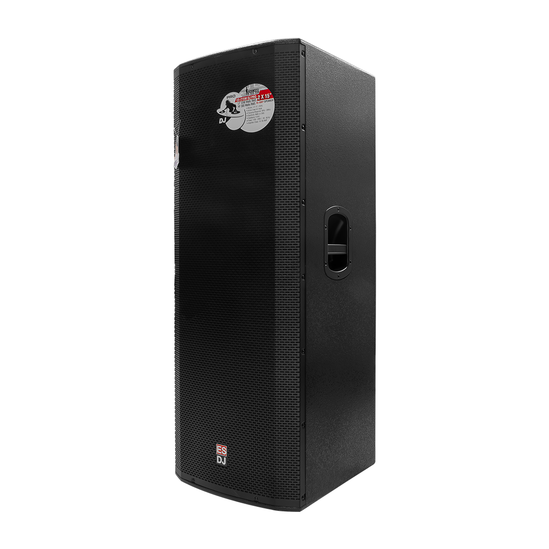 CAJA BI-AMPLIFICADA 2X15 PULG., 1200W RMS LF/300W RMS HF, BT, USB, SD