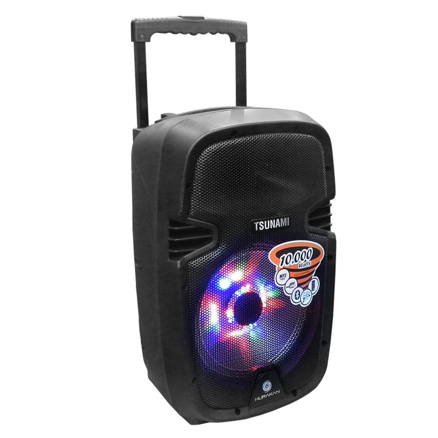 CAJA AMPLIFICADA CON BATERIA 10 PULG., 10.000W PMOP, BT, USB, MICRO SD, INCLUYE UN MICROFONO VHF