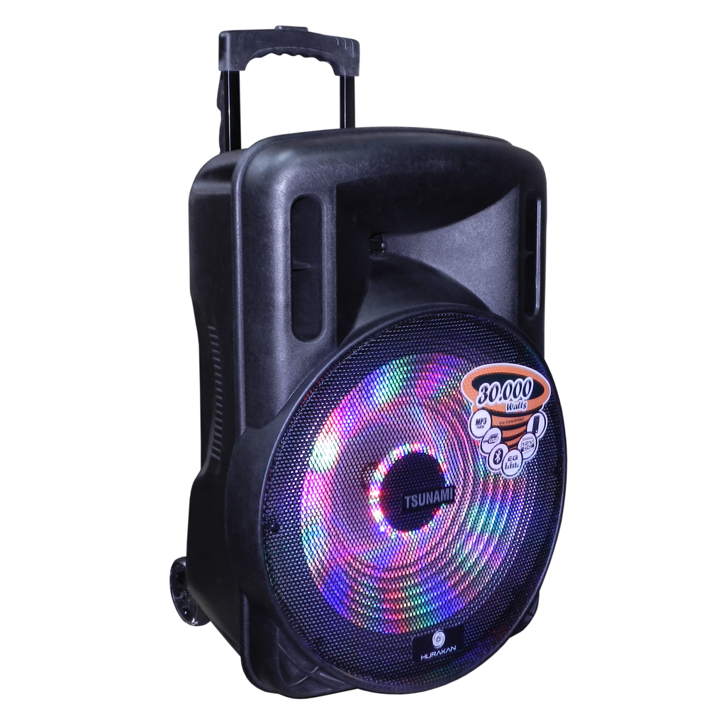 CAJA ACT. 15", 4 OHM 50 WATTS/ CON BATERIA 12V-4.5A / MP3/ USB/ SD/ PANTALLA LED/ BT/LUZ LED/ CONTROL REMOTO/ INCLUYE 2 MIC. INALAMBRICO VHF + SOPORTE