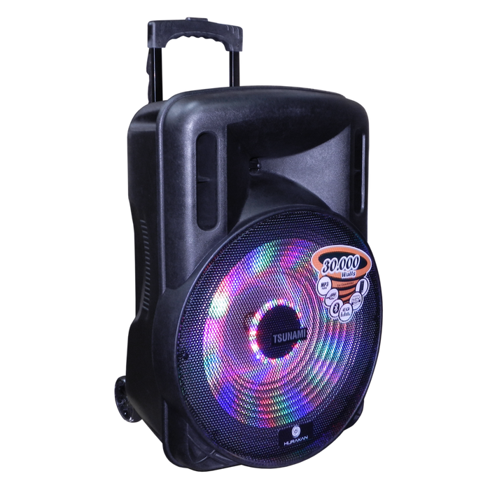 CAJA ACT. 15", 4 OHM 50 WATTS/ CON BATERIA 12V-4.5A / MP3/ USB/ SD/ PANTALLA LED/ BT/LUZ LED/ CONTROL REMOTO/ INCLUYE 2 MIC. INALAMBRICO VHF + SOPORTE