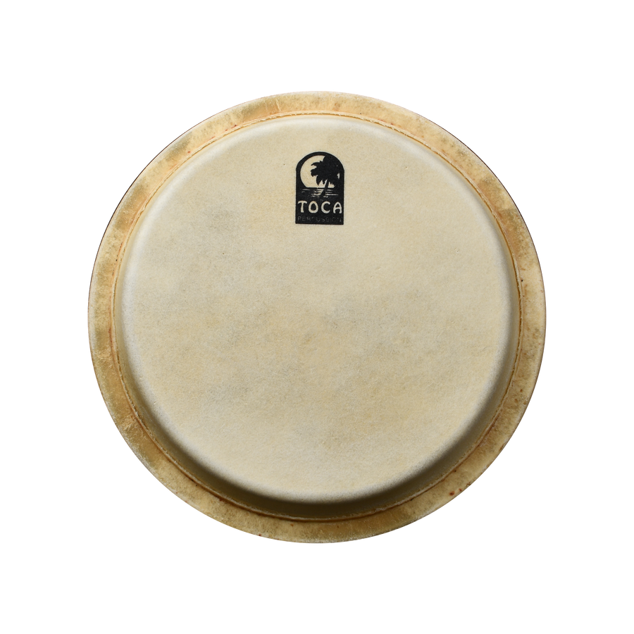 PARCHE DE CONGA 11 3/4"