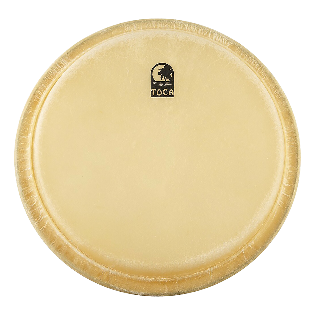 PARCHE DE CONGA 12 1/2"