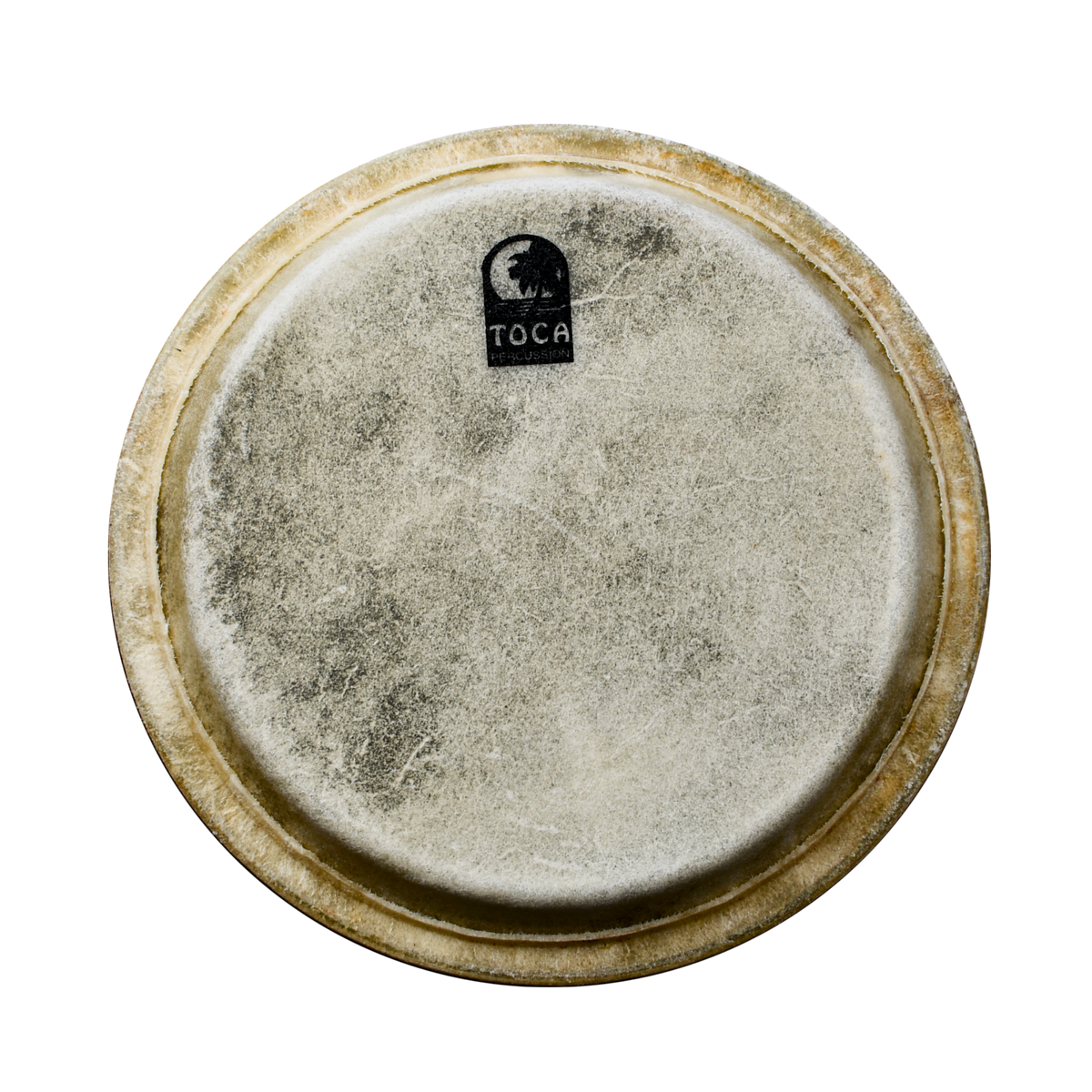 PARCHE DE CONGA 12 1/2"