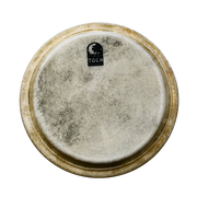PARCHE DE CONGA 12 1/2"