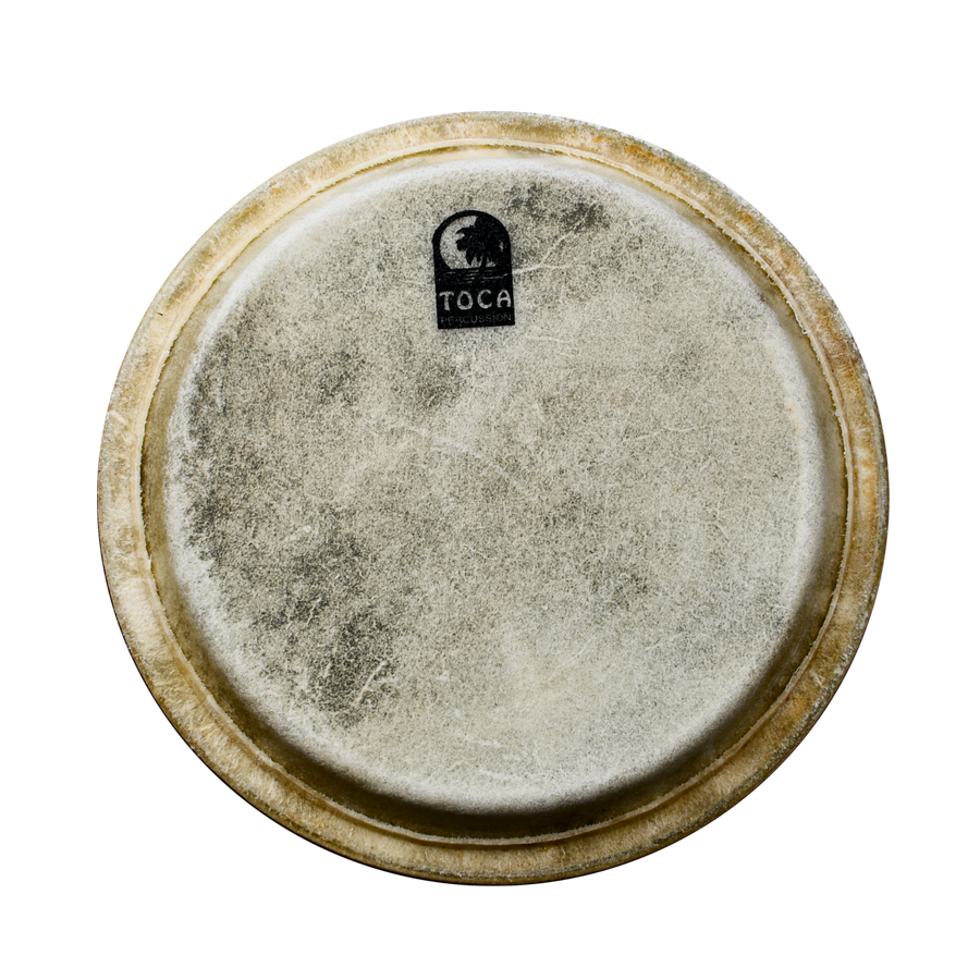 PARCHE DE CONGA 12 1/2"