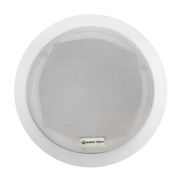 PARLANTE PARA TUMBADO, PASIVO, 5 PULG., 20W