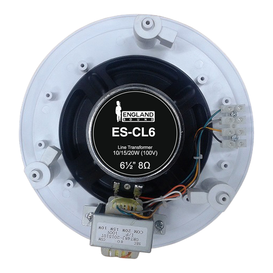 PARLANTE PARA TUMBADO, PASIVO, 6.5 PULG. CON TRANSFORMADOR, 100V, 10-15-20W, 89DB
